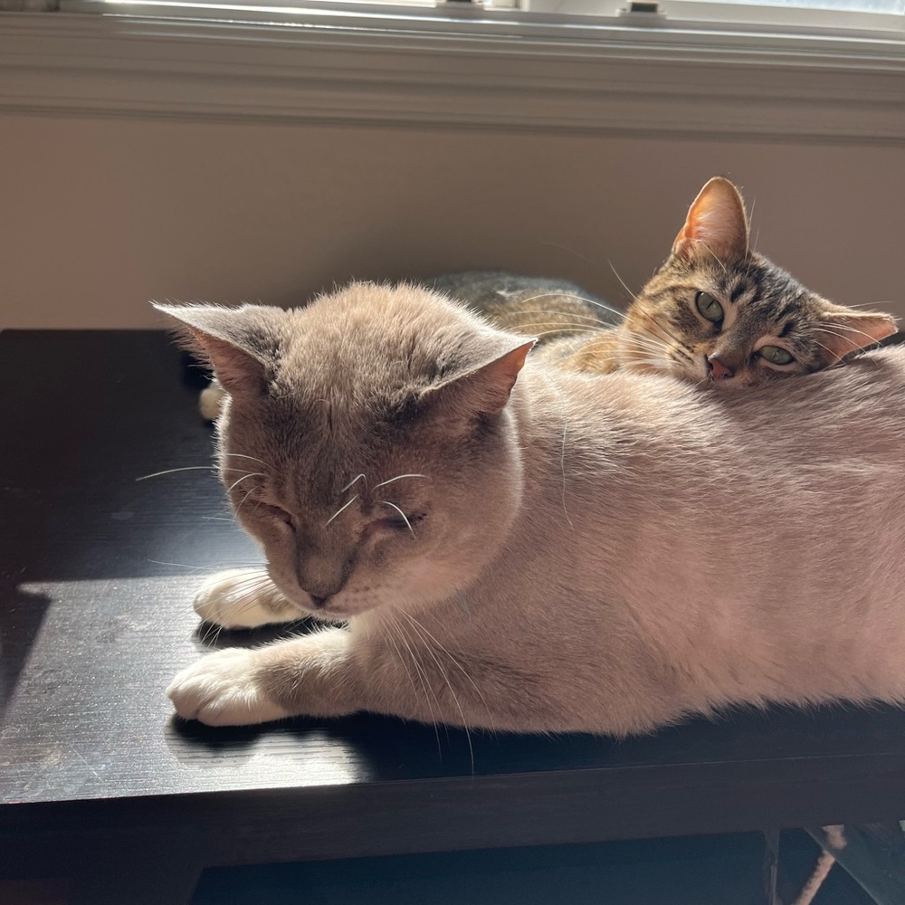 Nima (3 yo) w/ Emily (1 yo)